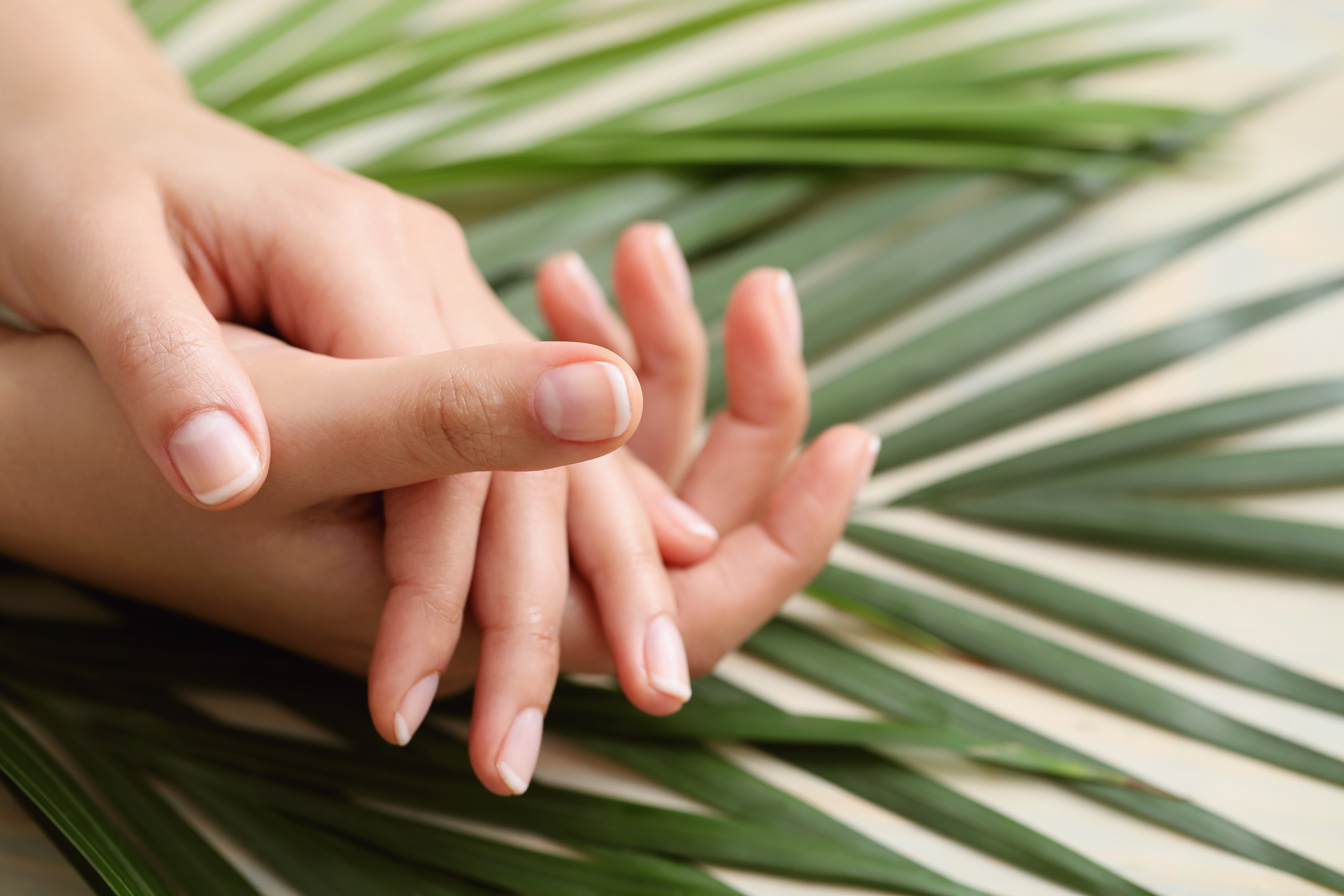 Pair of woman's hands on top of one another with faint French manicure