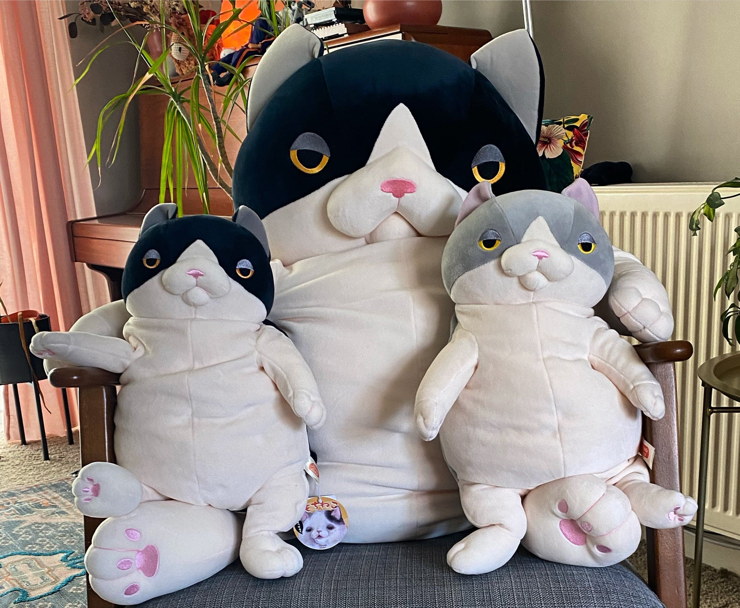 Cat plush: where to buy best japanese plushies