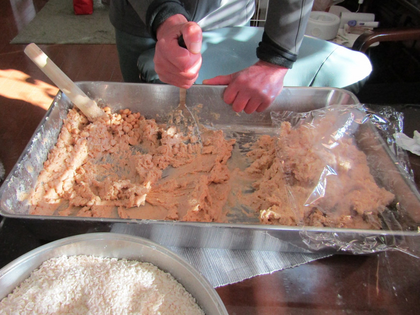 A person makes miso paste by crushing soy beans on a metal tray 