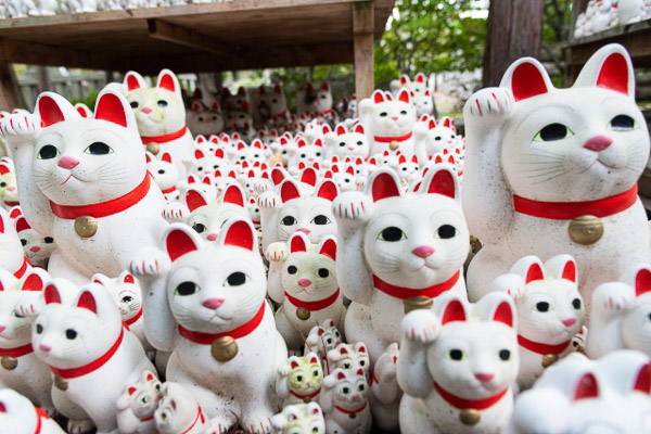 Dozens of white right paw up maneki nekos in different sizes, sitting outside 