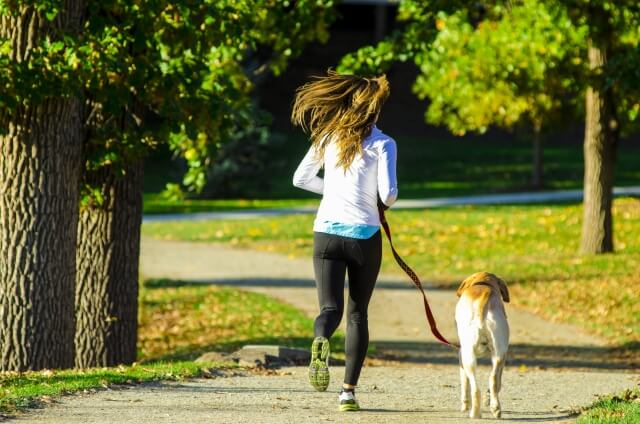 犬とジョギングする女性