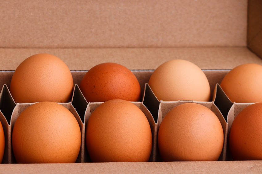 Eggs carefully packed in egg carton.