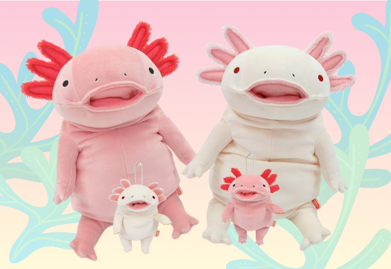 Large and mini pink and white axolotl plushies