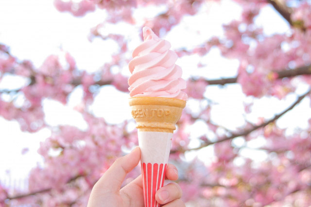 A hand holding a pink colored sakura soft ice cream in a cone with blooming cherry trees in the background