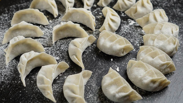 Two dozen gyoza laid out in two circles before cooking