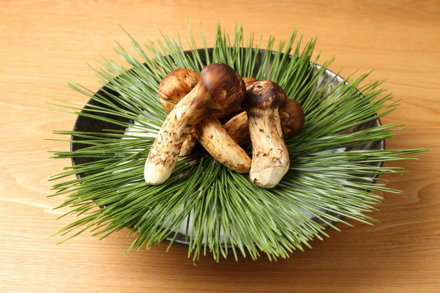 Matsutake is a delicacy among Japanese mushrooms.