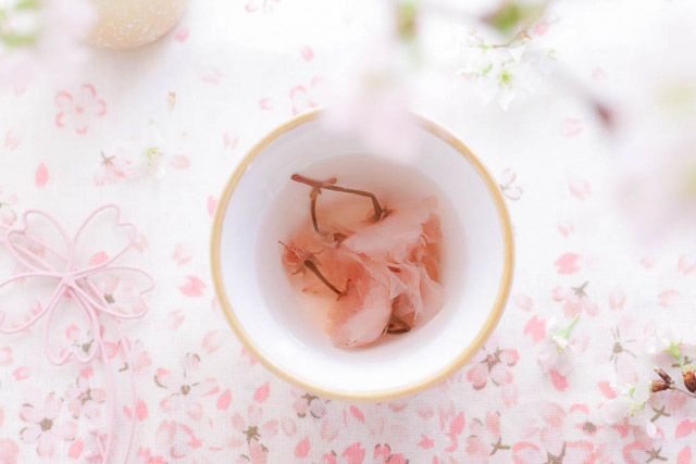 A Japanese style tea cup with cherry blossoms tea on a cherry blossoms table cloth