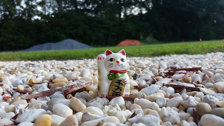 A maneki-neko sitting in a small field of small white rocks