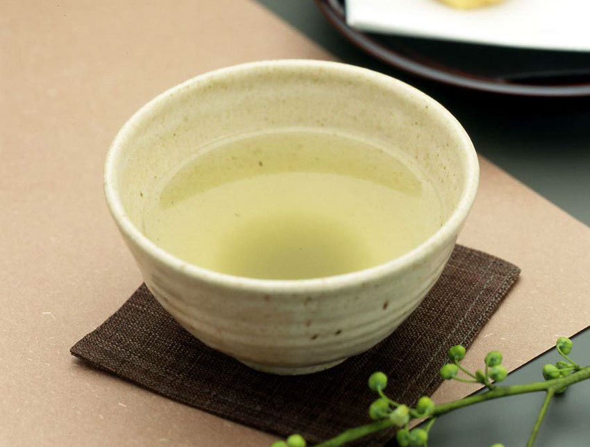 Kombucha or Japanese kelp tea