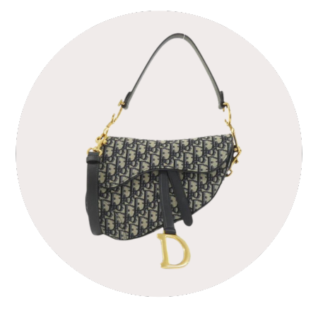 Dior Saddle Bag