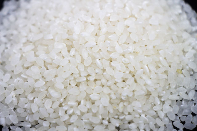 Close up of Hitomebore raw rice