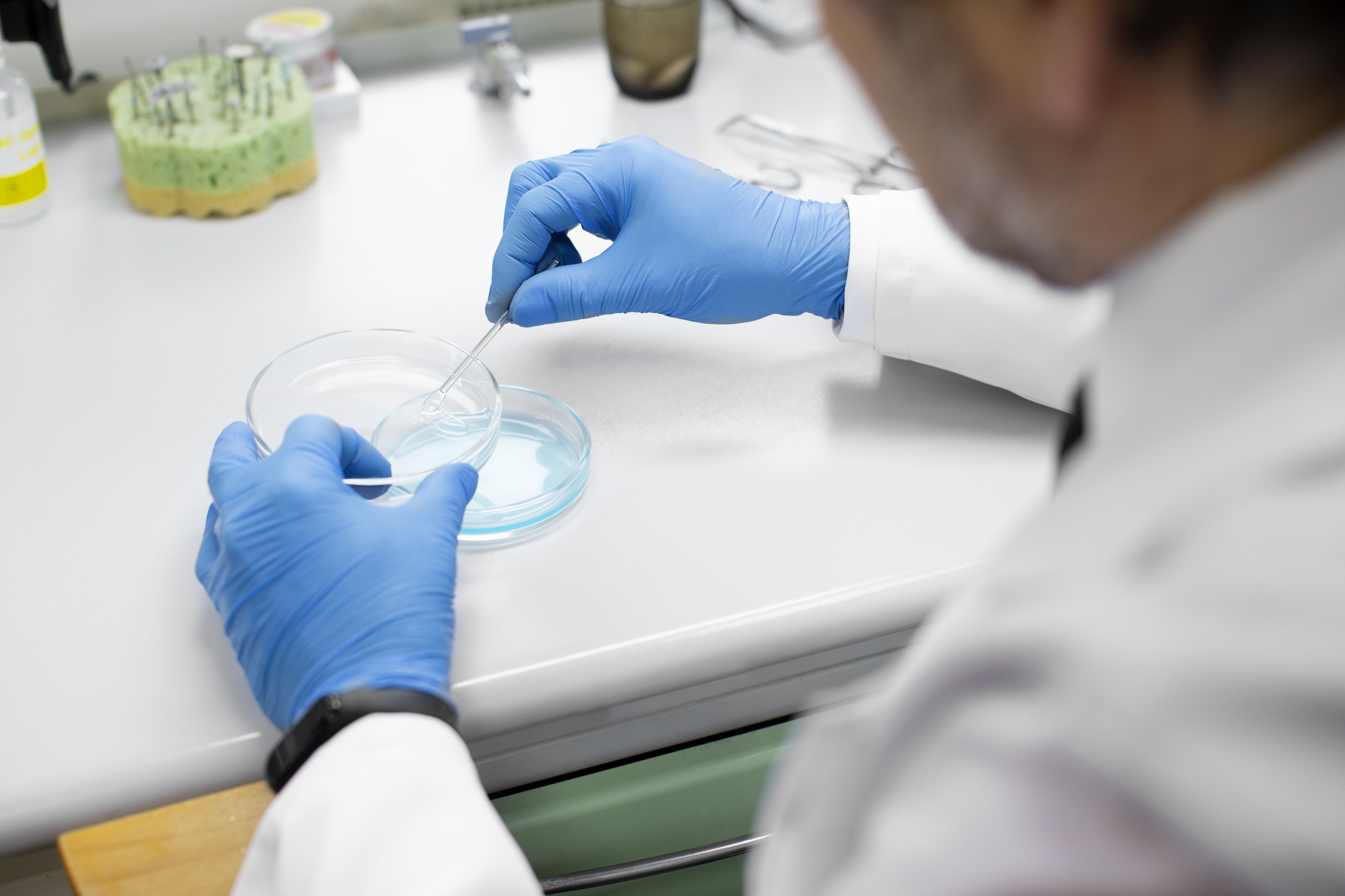 Male with blue gloves handling a petri dish with blue liquid