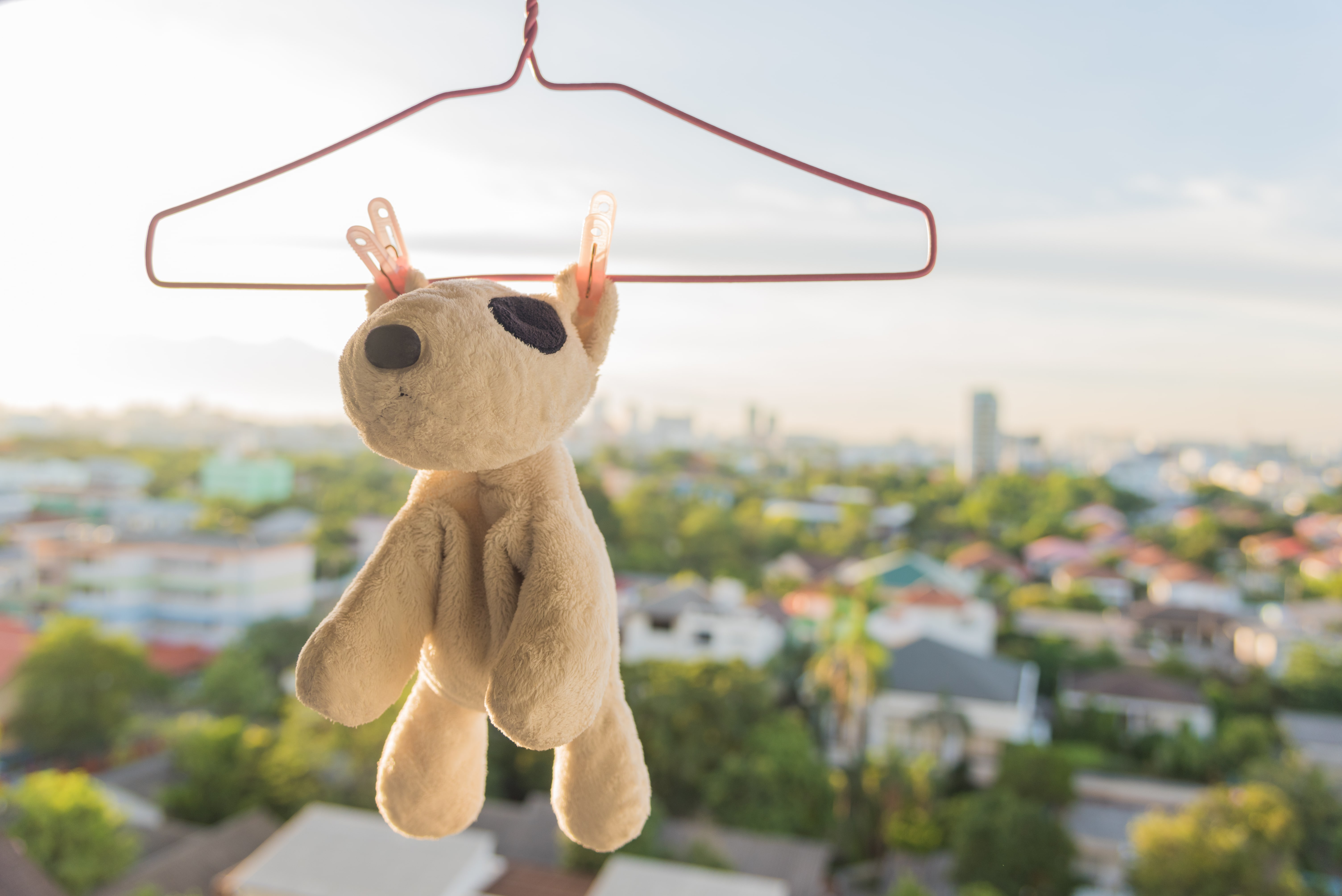 Dog stuffed animal air dried outside on hanger with laundry clips on ears 