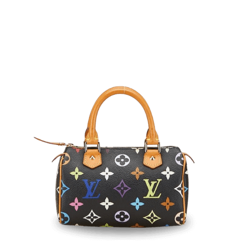 Louis Vuitton Monogram Multicolor Mini Speedy